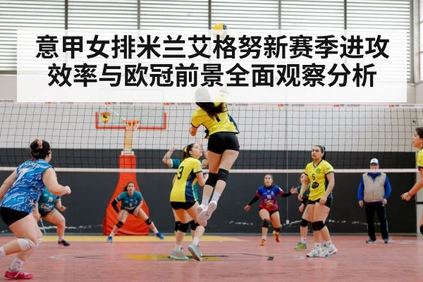 volleyball match arena